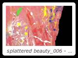 splattered beauty_006 - mixed media - 15 inches x 18 inches