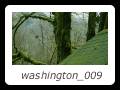 washington_009