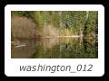 washington_012