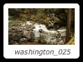 washington_025