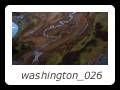 washington_026